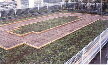 （4）軽量土壌投入セダムマット施工